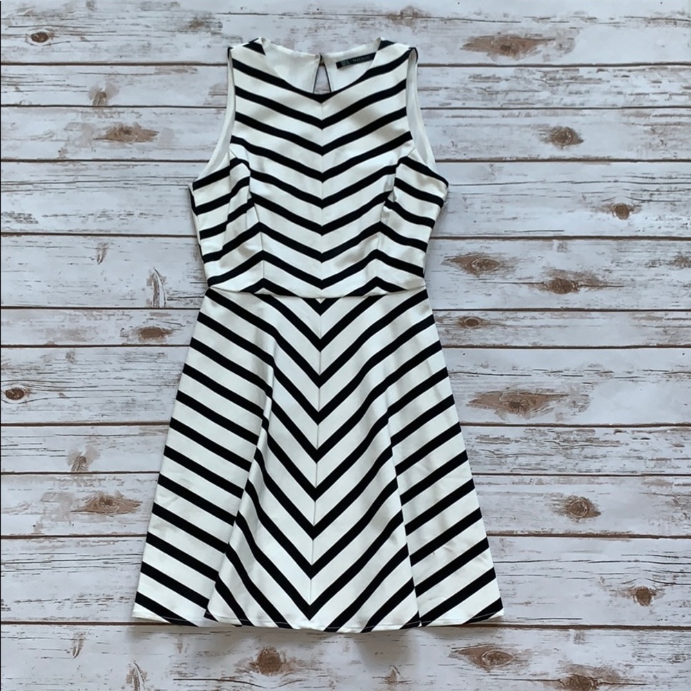 Zara Black and White Strip Dress